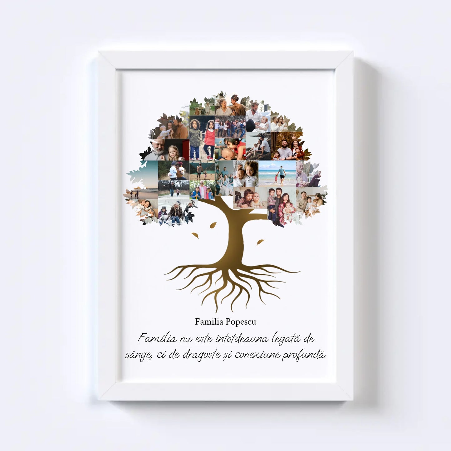 Colaj foto arbore genealogic Nr.2