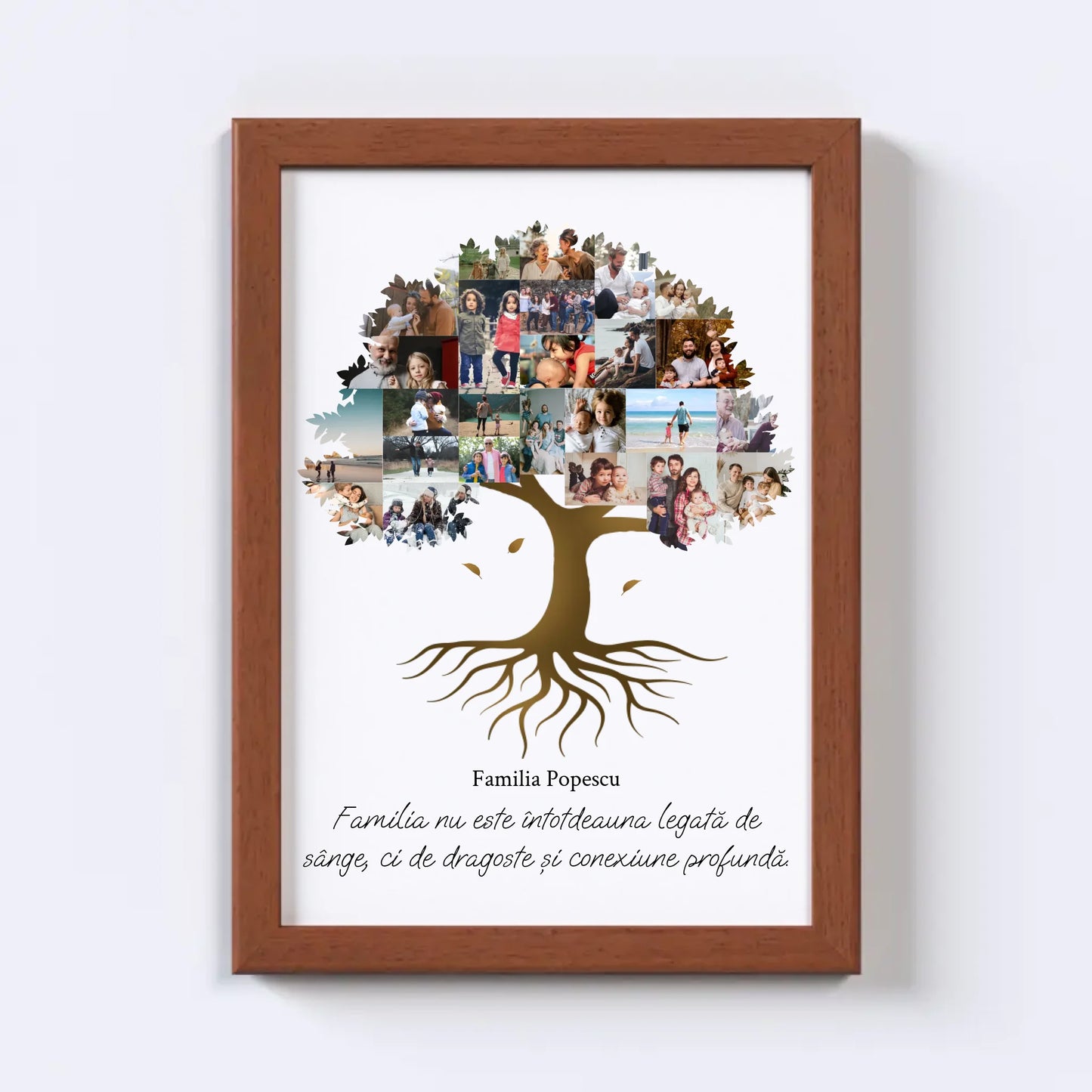 Colaj foto arbore genealogic Nr.2