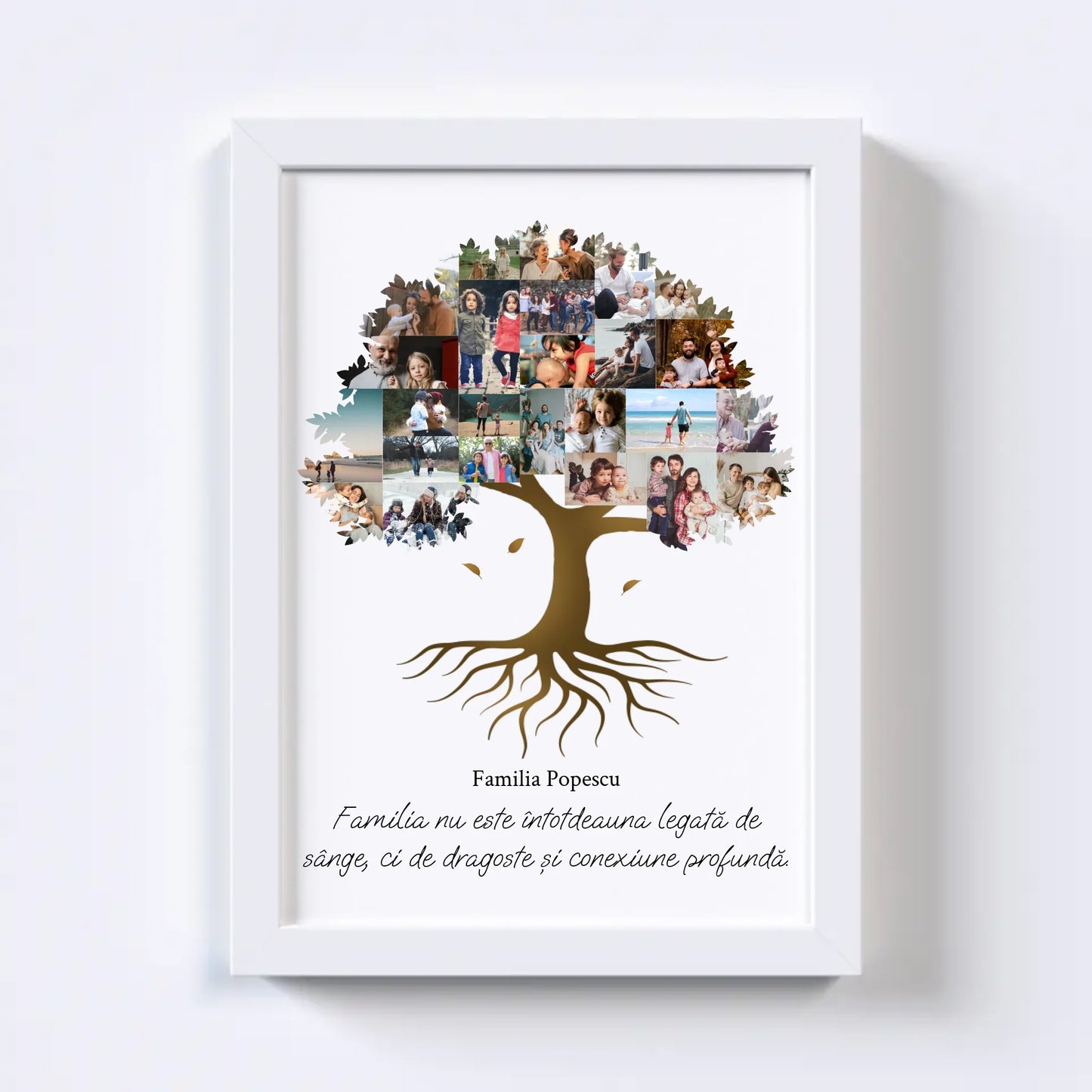 Colaj foto arbore genealogic Nr.2