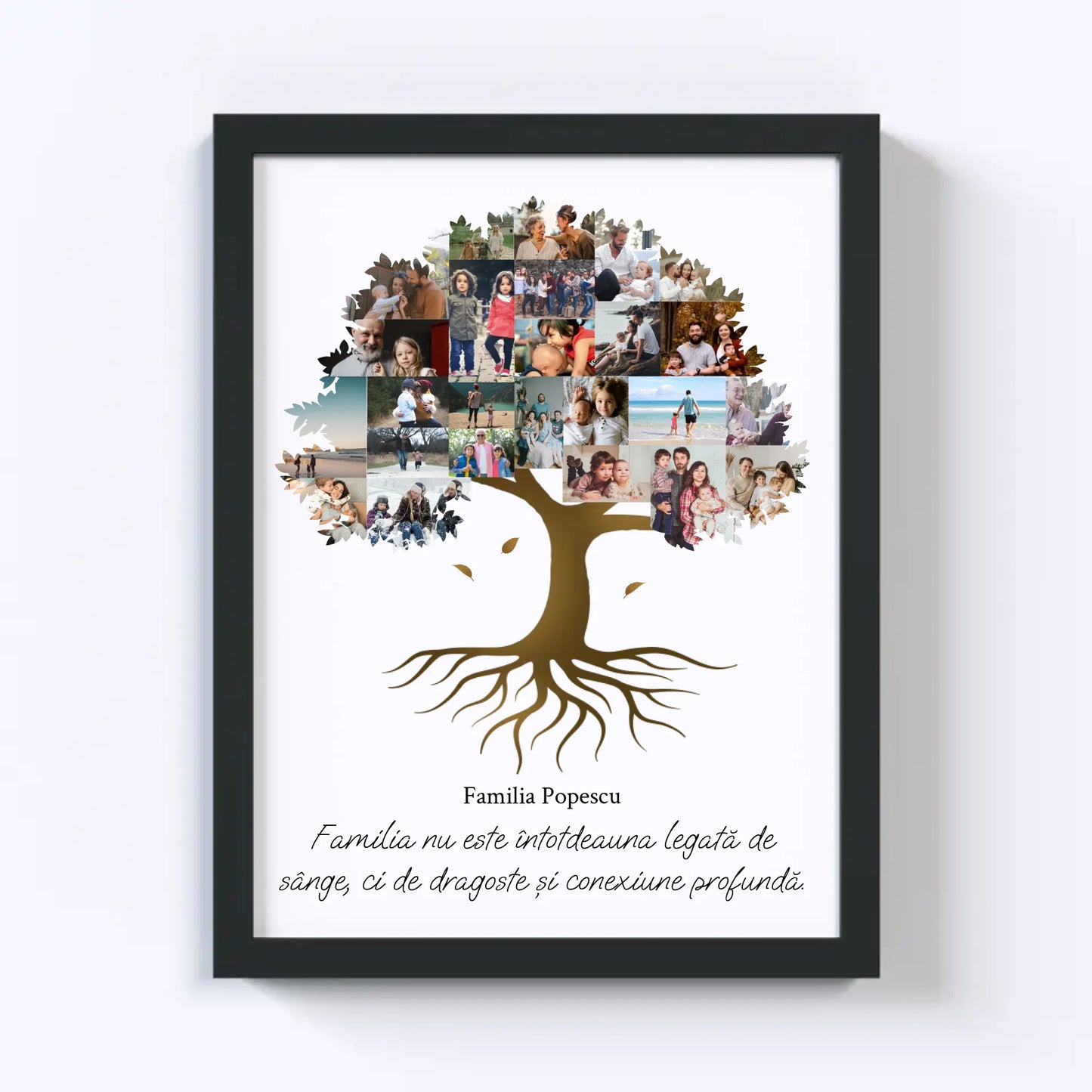 Colaj foto arbore genealogic Nr.2