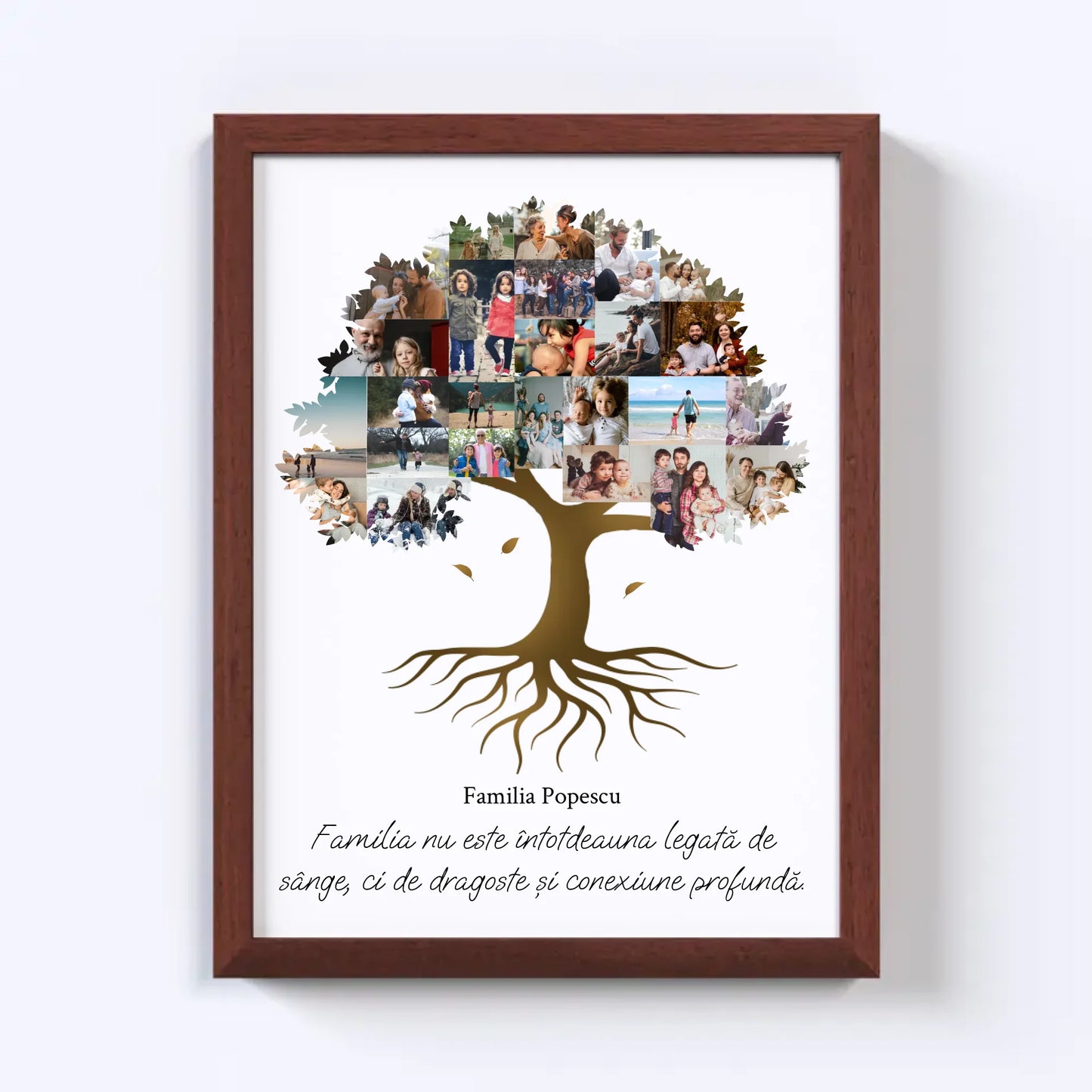 Colaj foto arbore genealogic Nr.2
