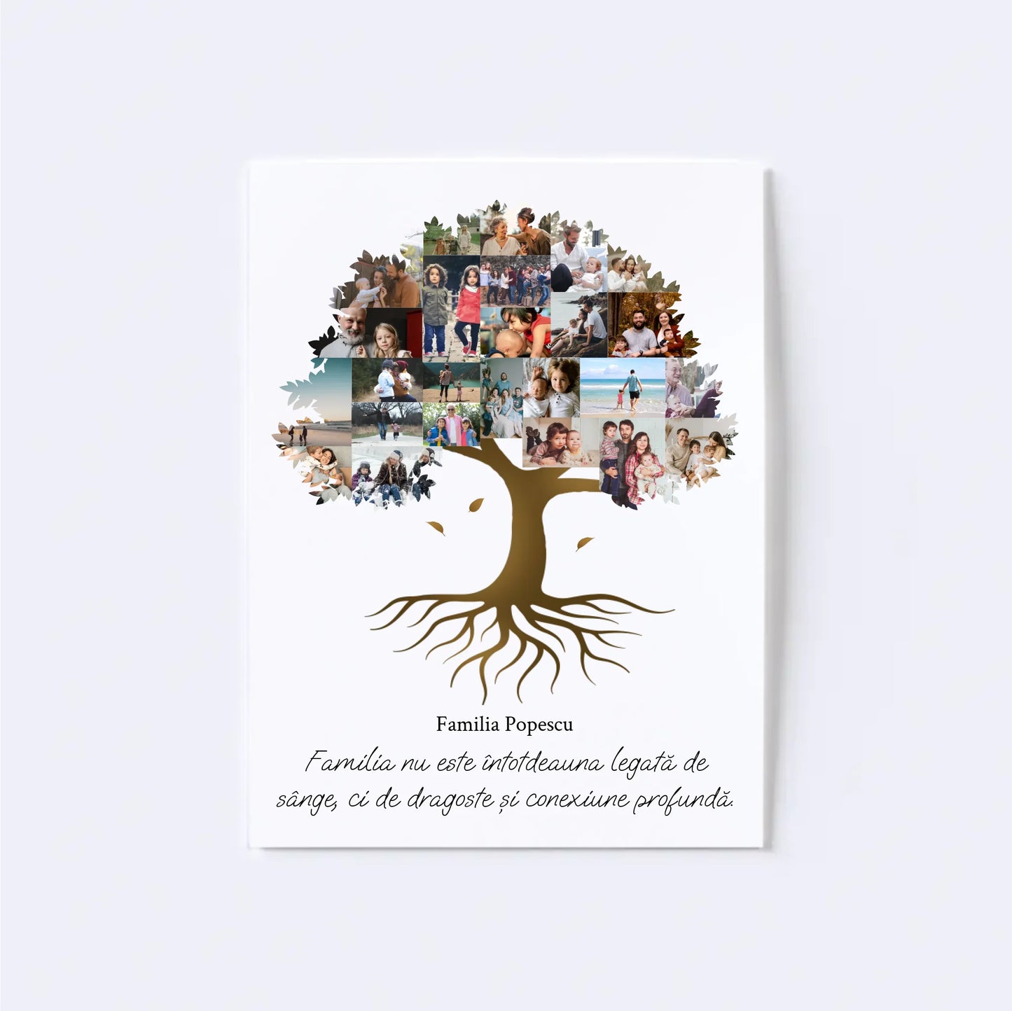 Colaj foto arbore genealogic Nr.2