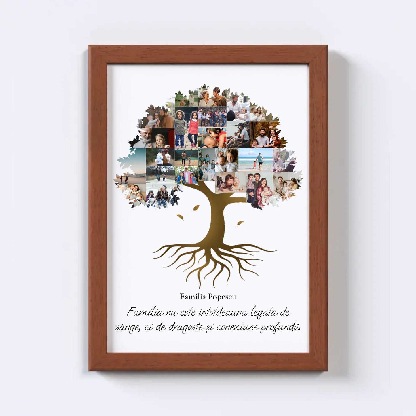 Colaj foto arbore genealogic Nr.2