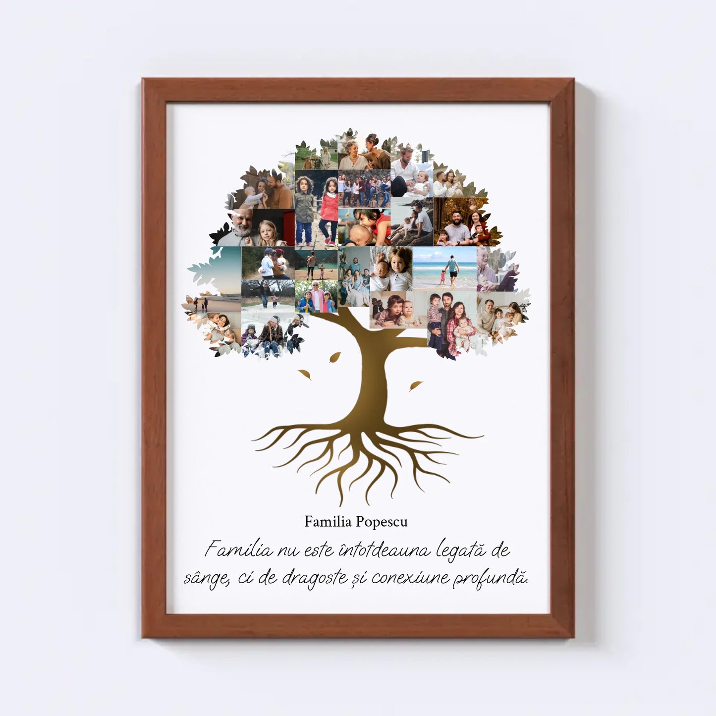 Colaj foto arbore genealogic Nr.2