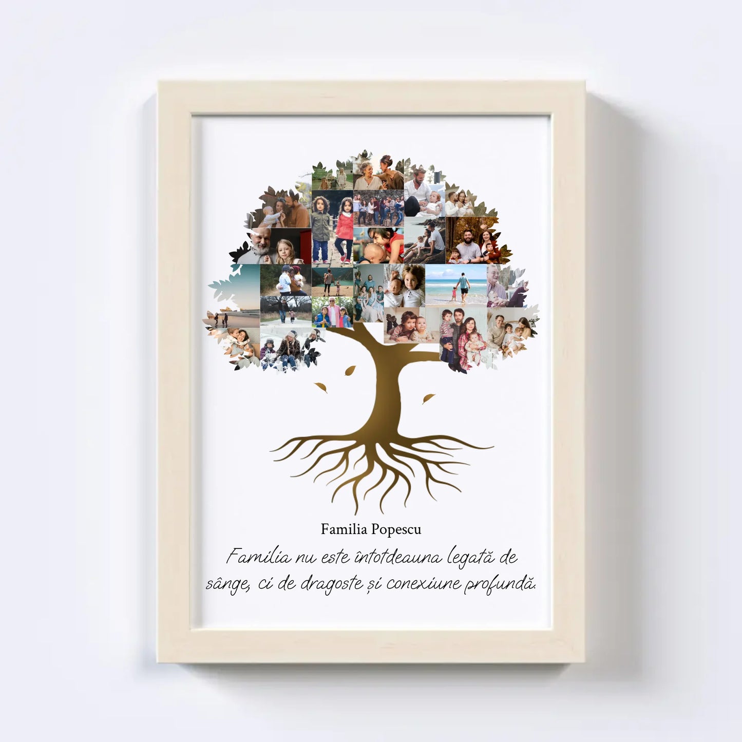 Colaj foto arbore genealogic Nr.2