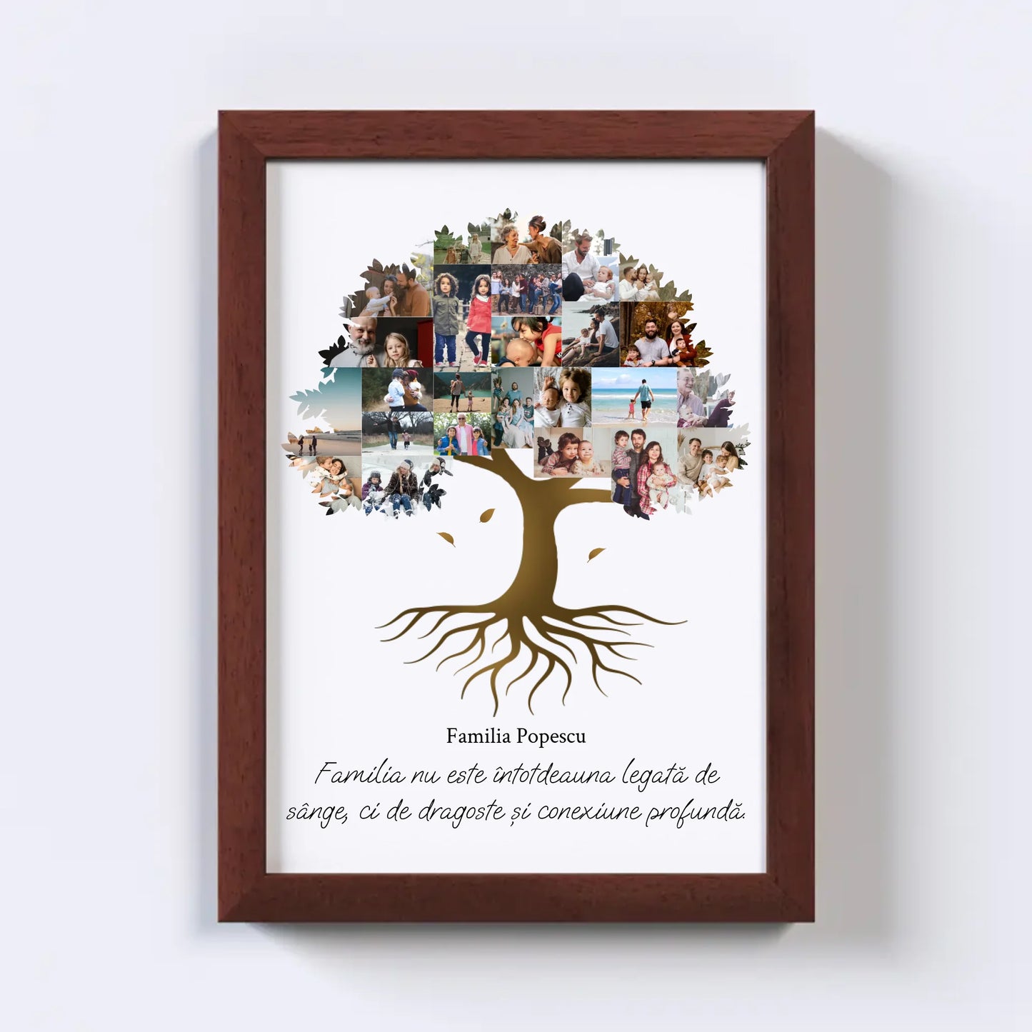 Colaj foto arbore genealogic Nr.2