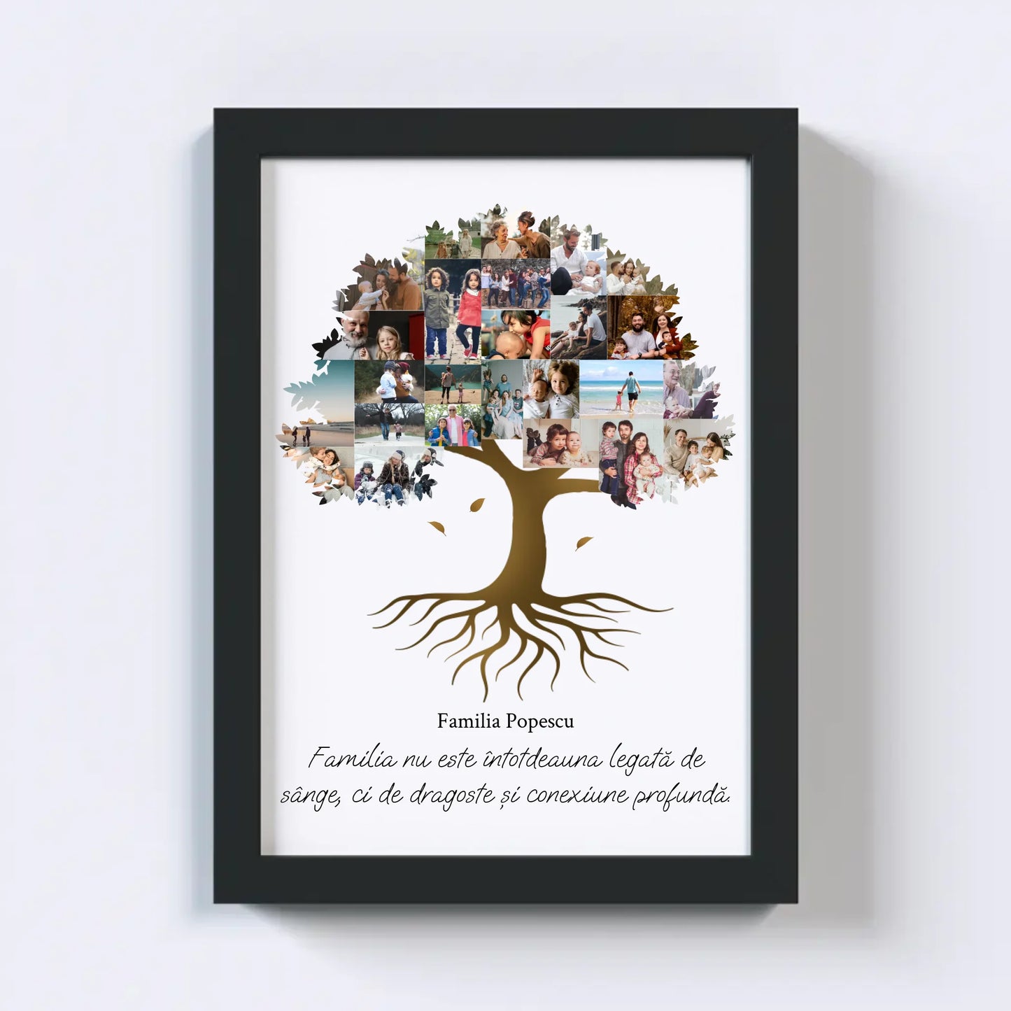 Colaj foto arbore genealogic Nr.2