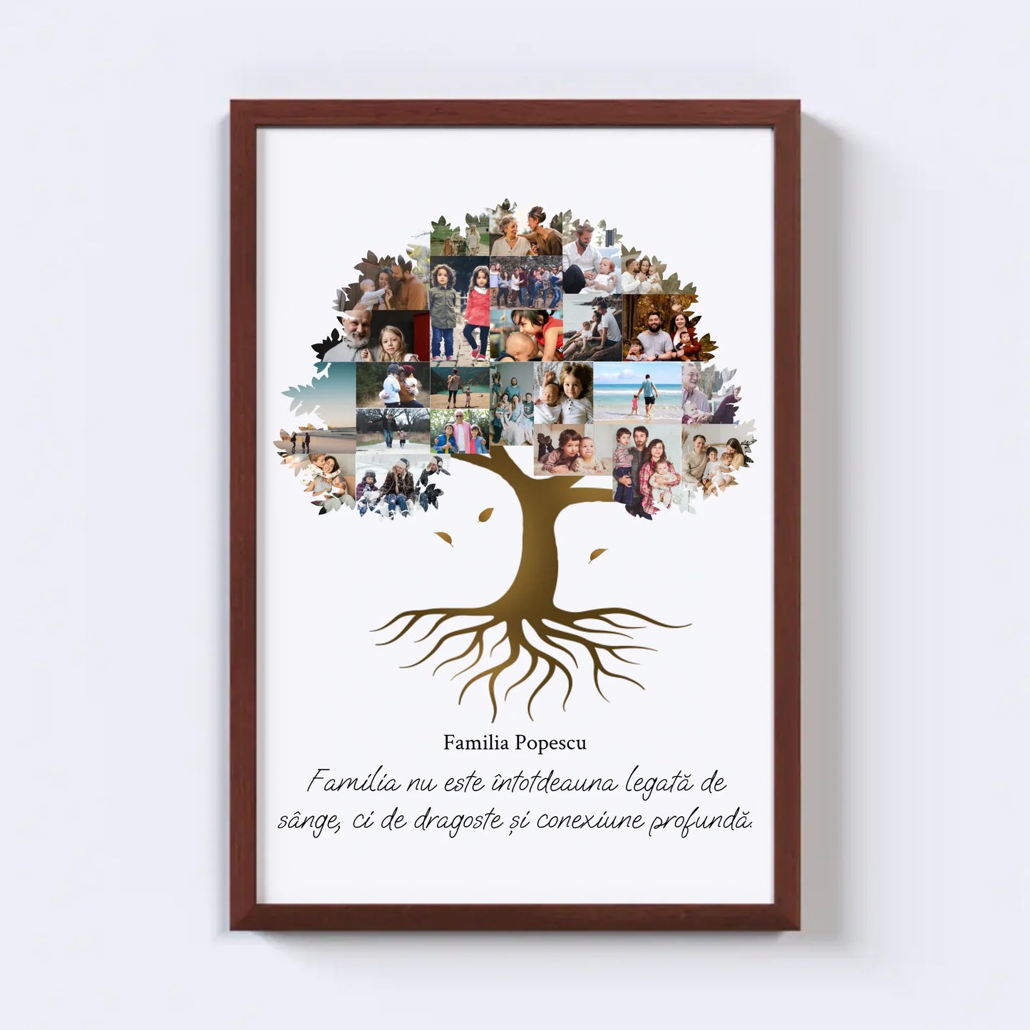 Colaj foto arbore genealogic Nr.2