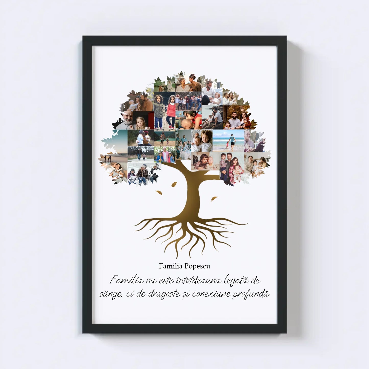 Colaj foto arbore genealogic Nr.2