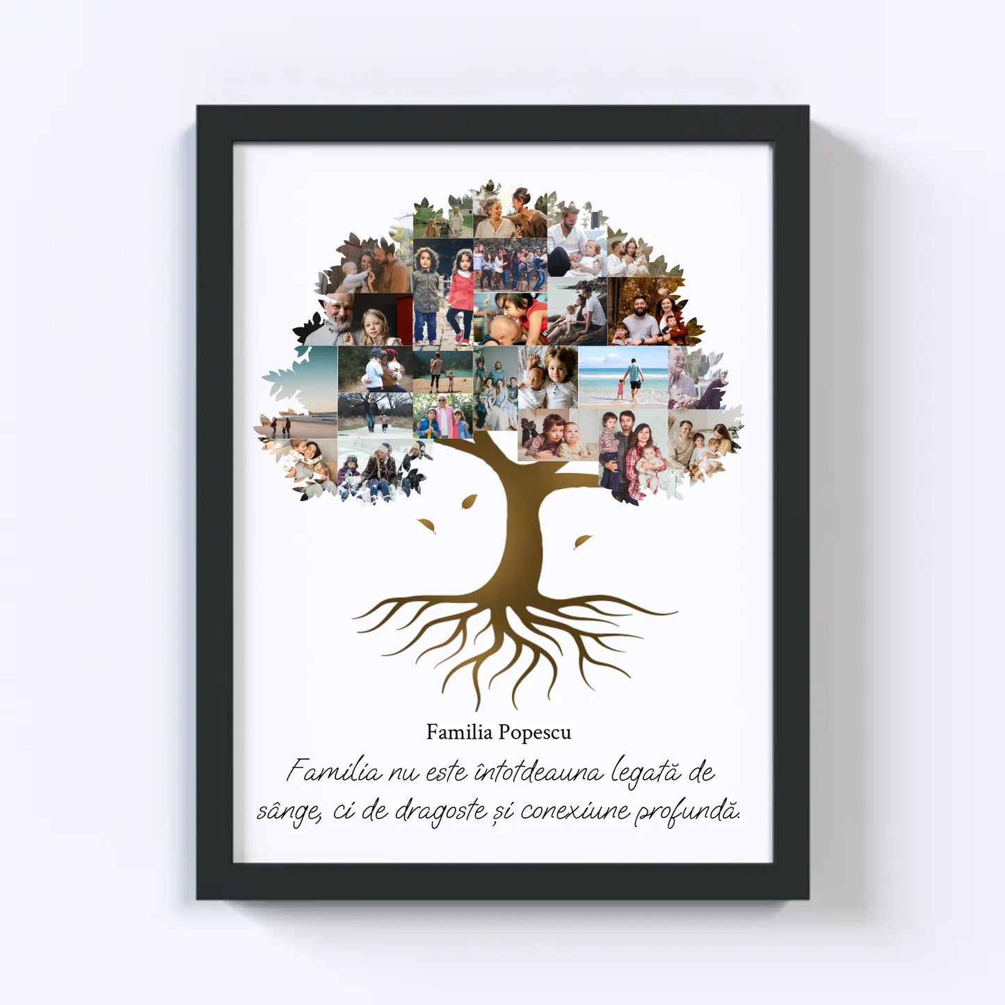 Colaj foto arbore genealogic Nr.2