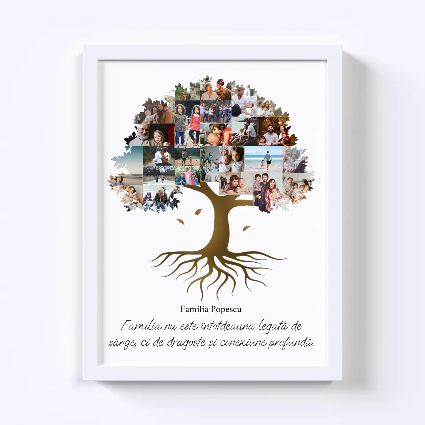 Colaj foto arbore genealogic Nr.2