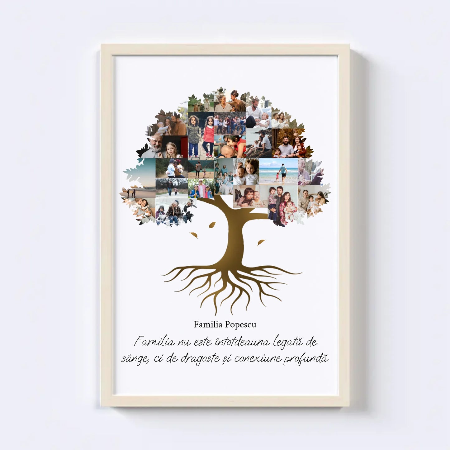 Colaj foto arbore genealogic Nr.2