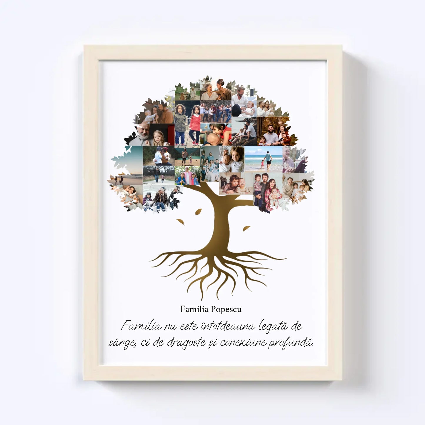Colaj foto arbore genealogic Nr.2