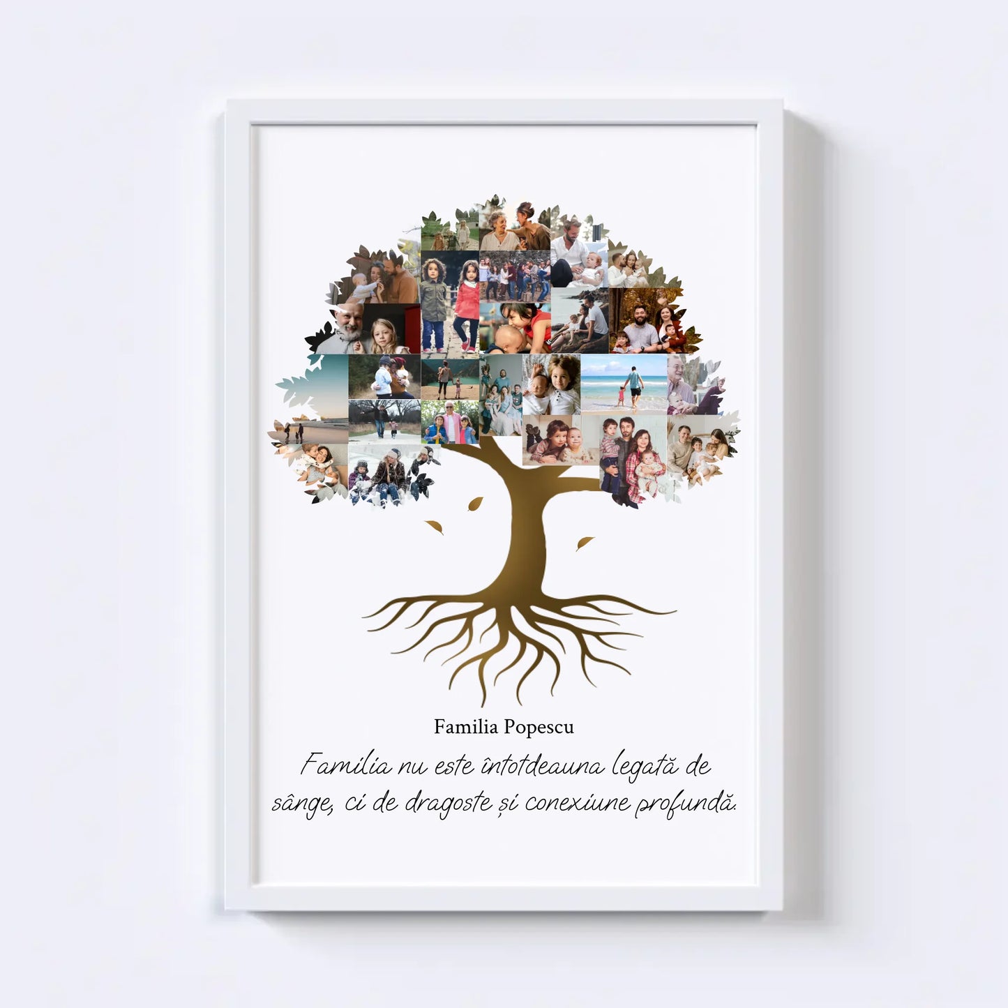 Colaj foto arbore genealogic Nr.2
